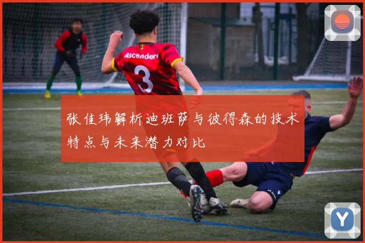 张佳玮解析迪班萨与彼得森的技术特点与未来潜力对比